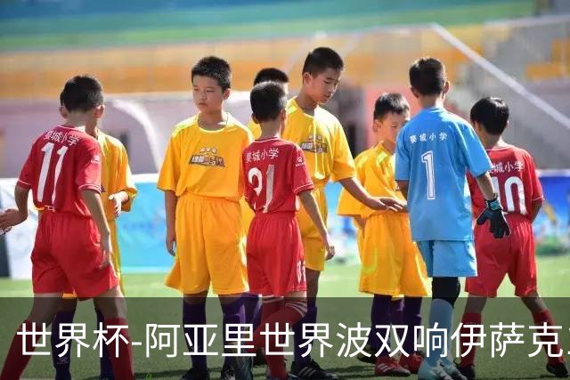 世界杯-阿亚里世界波双响伊萨克1射2传 瑞典5-1突尼斯